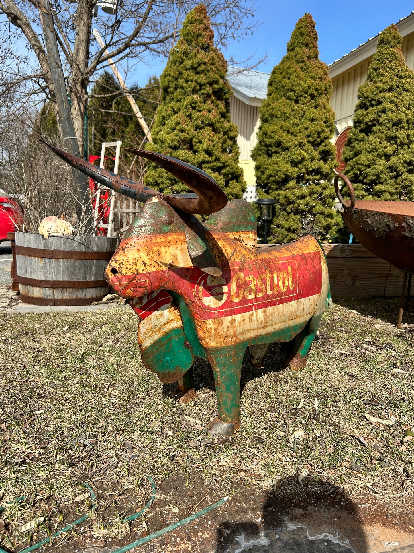 Metal Bull