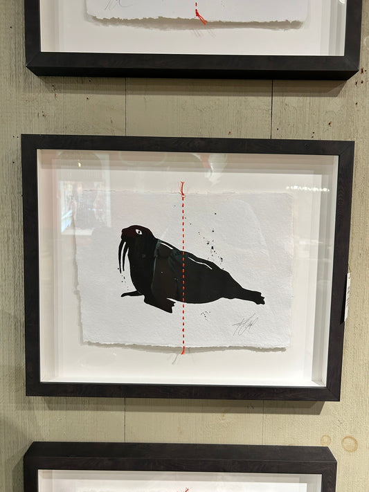 Animal Sketches By Kelly O'Neil (Seal)