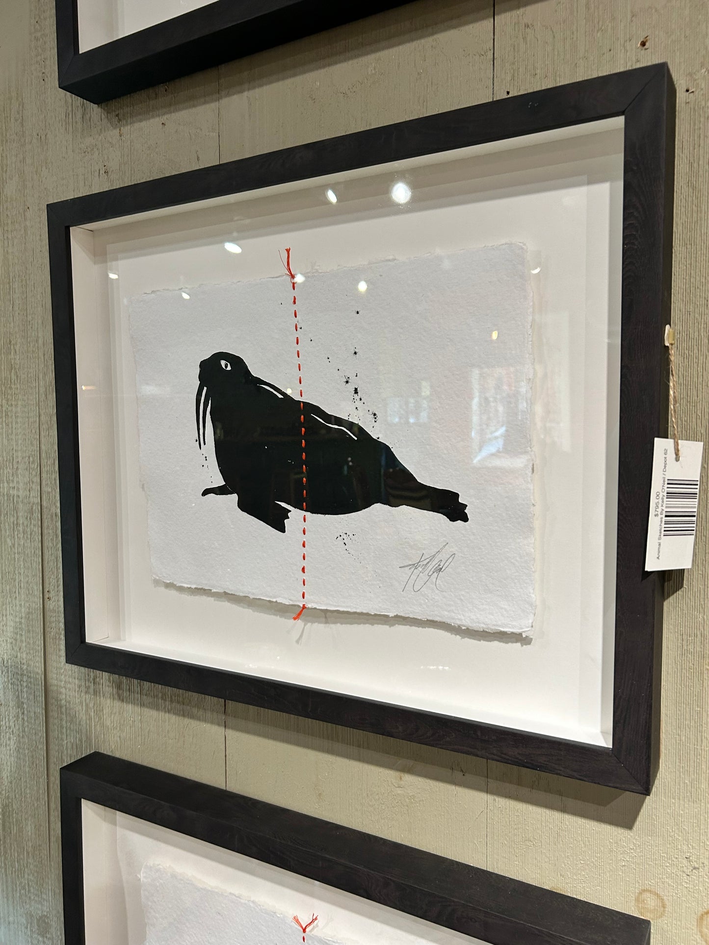 Animal Sketches By Kelly O'Neil (Seal)