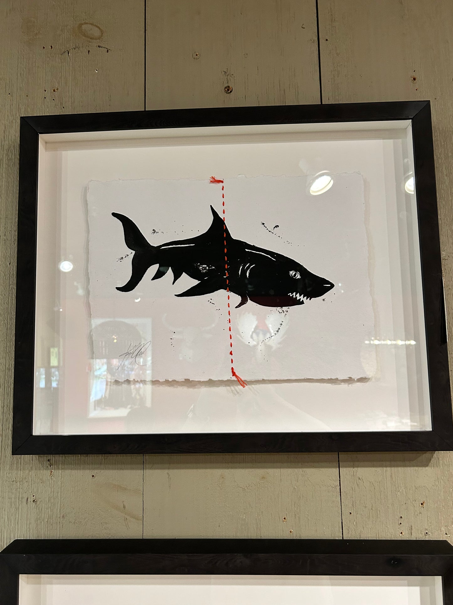 Animal Sketches By Kelly O'Neil (Shark)