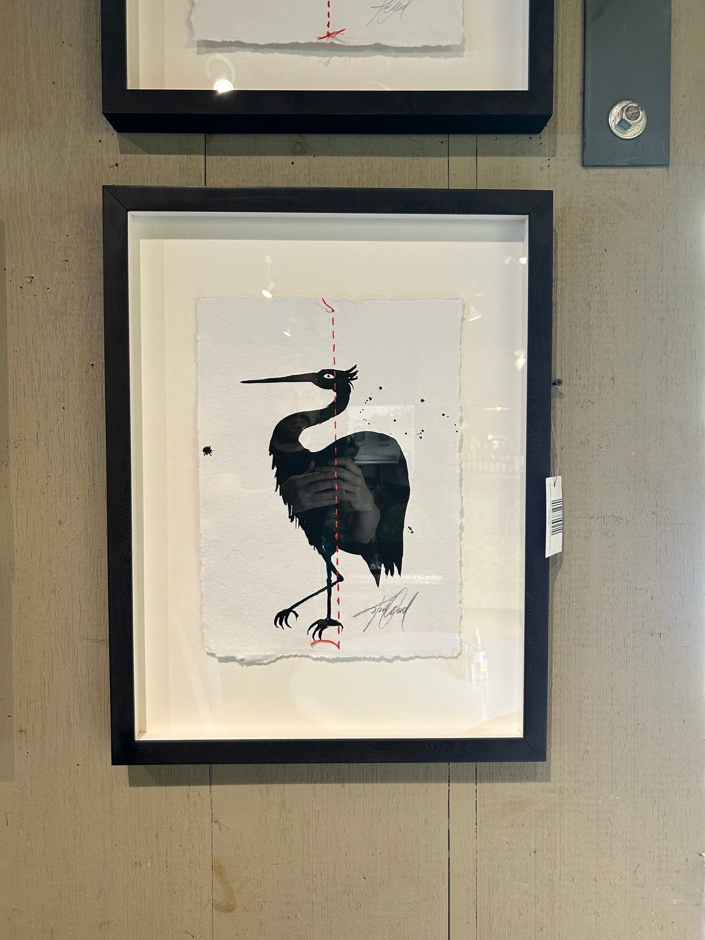 Animal Sketches By Kelly O'Neil (Stork)