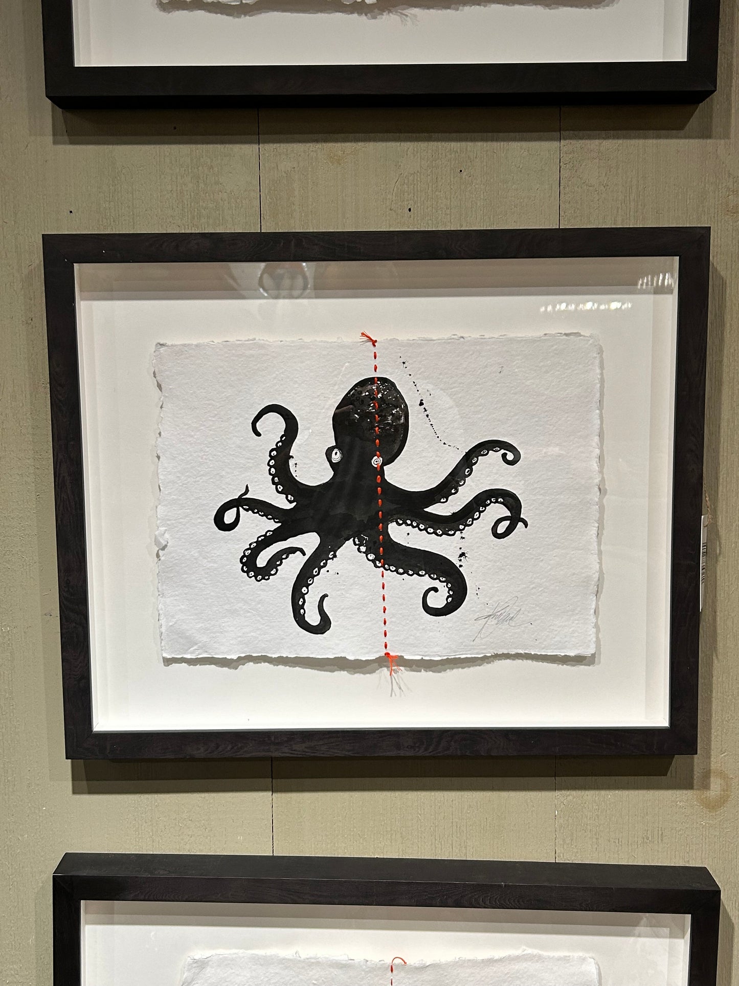 Animal Sketches By Kelly O'Neil (Octopus)