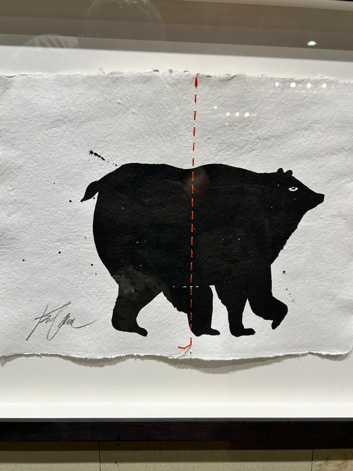 Animal Sketches By Kelly O'Neil (Bear)