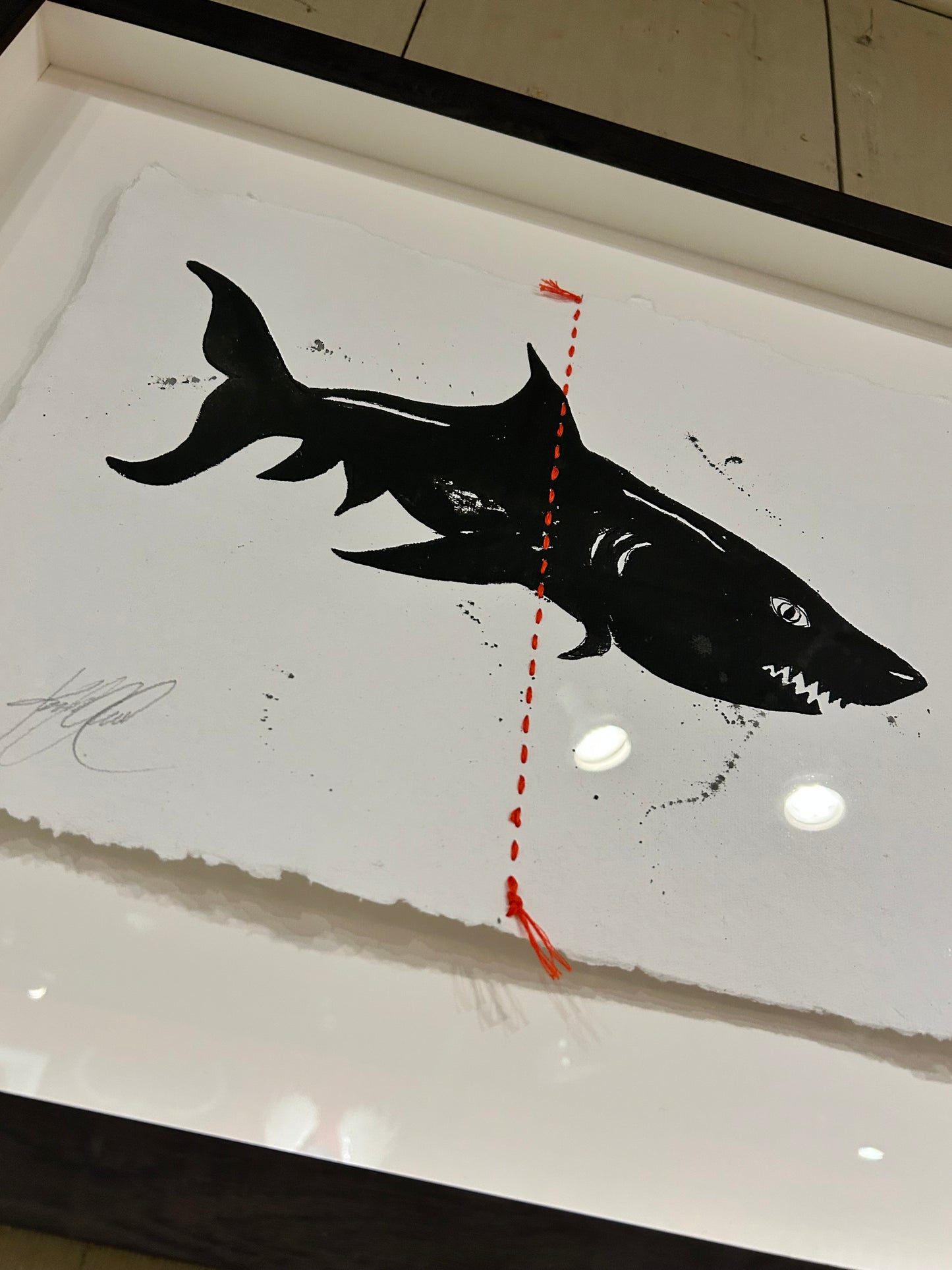 Animal Sketches By Kelly O'Neil (Shark)