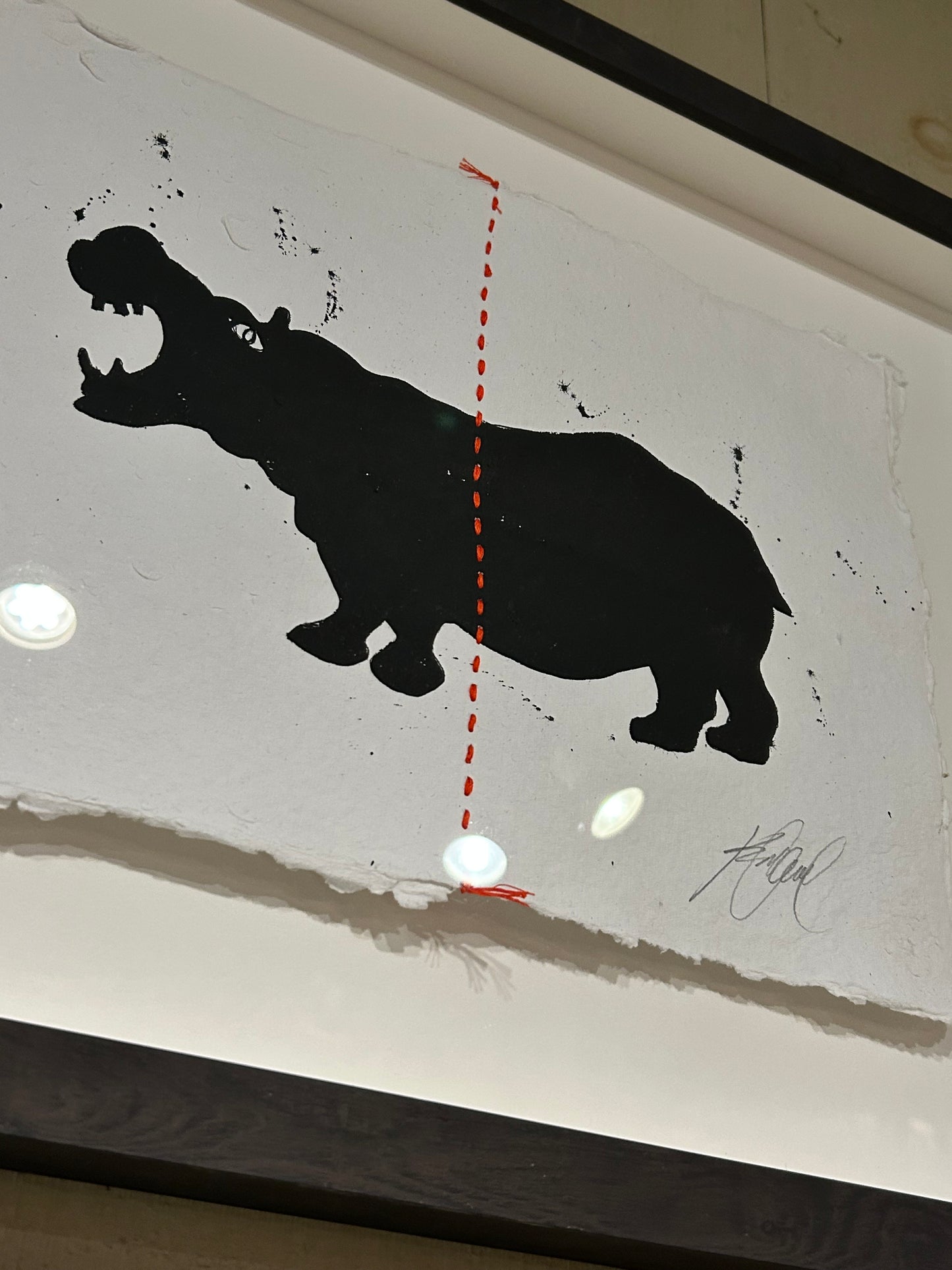 Animal Sketches By Kelly O'Neil (Hippopotamus)