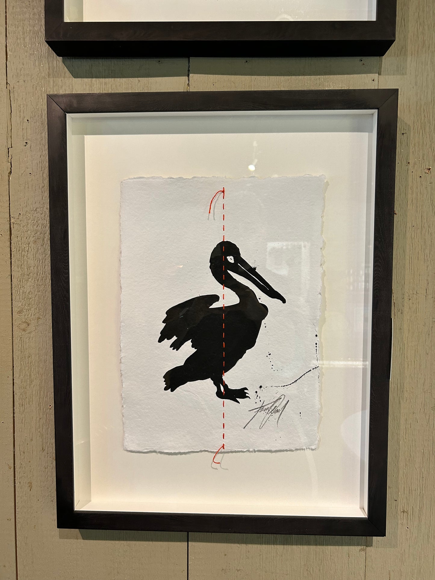Animal Sketches By Kelly O'Neil (Pelican)