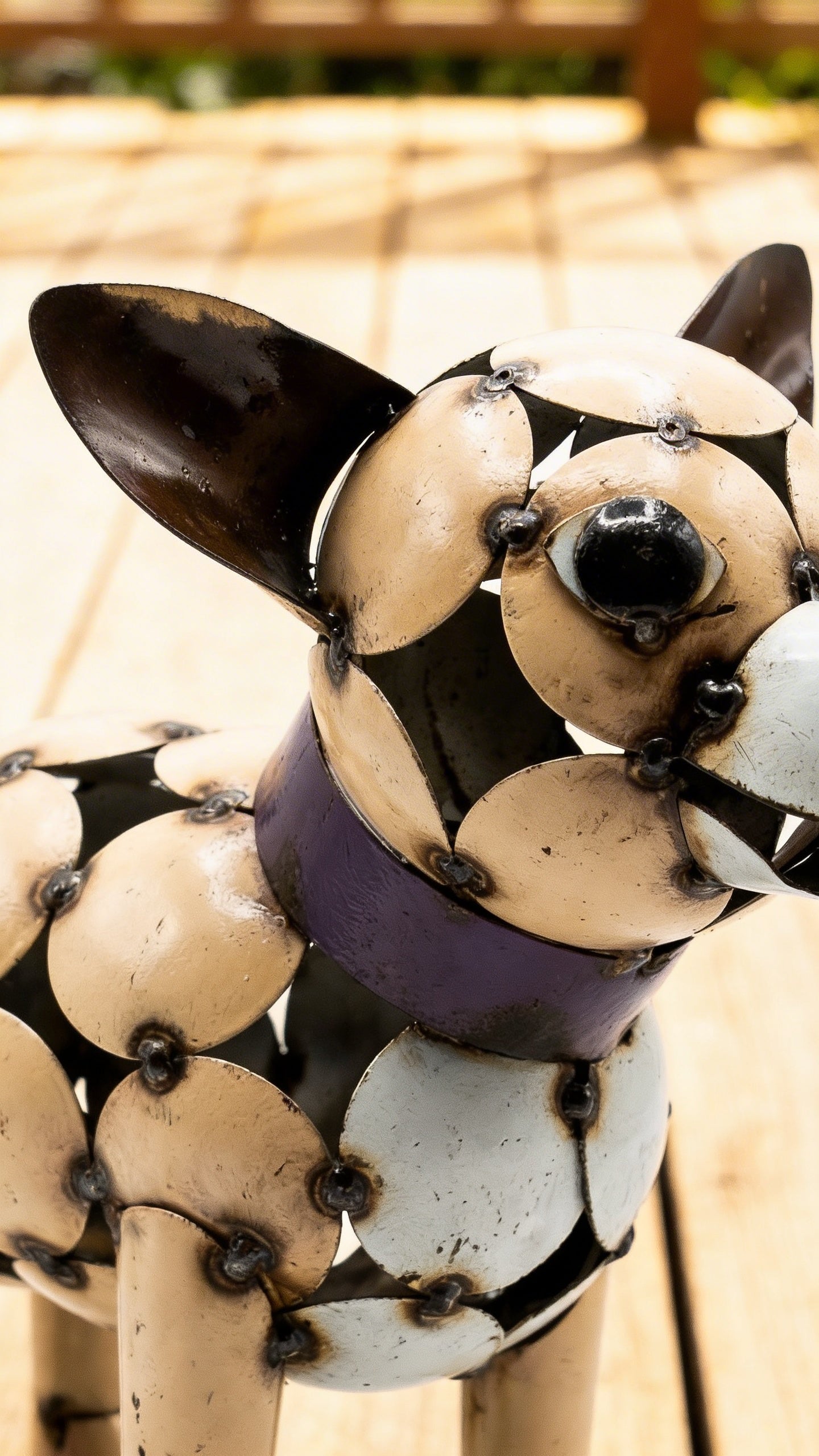 Chihuahua Dog / Disk