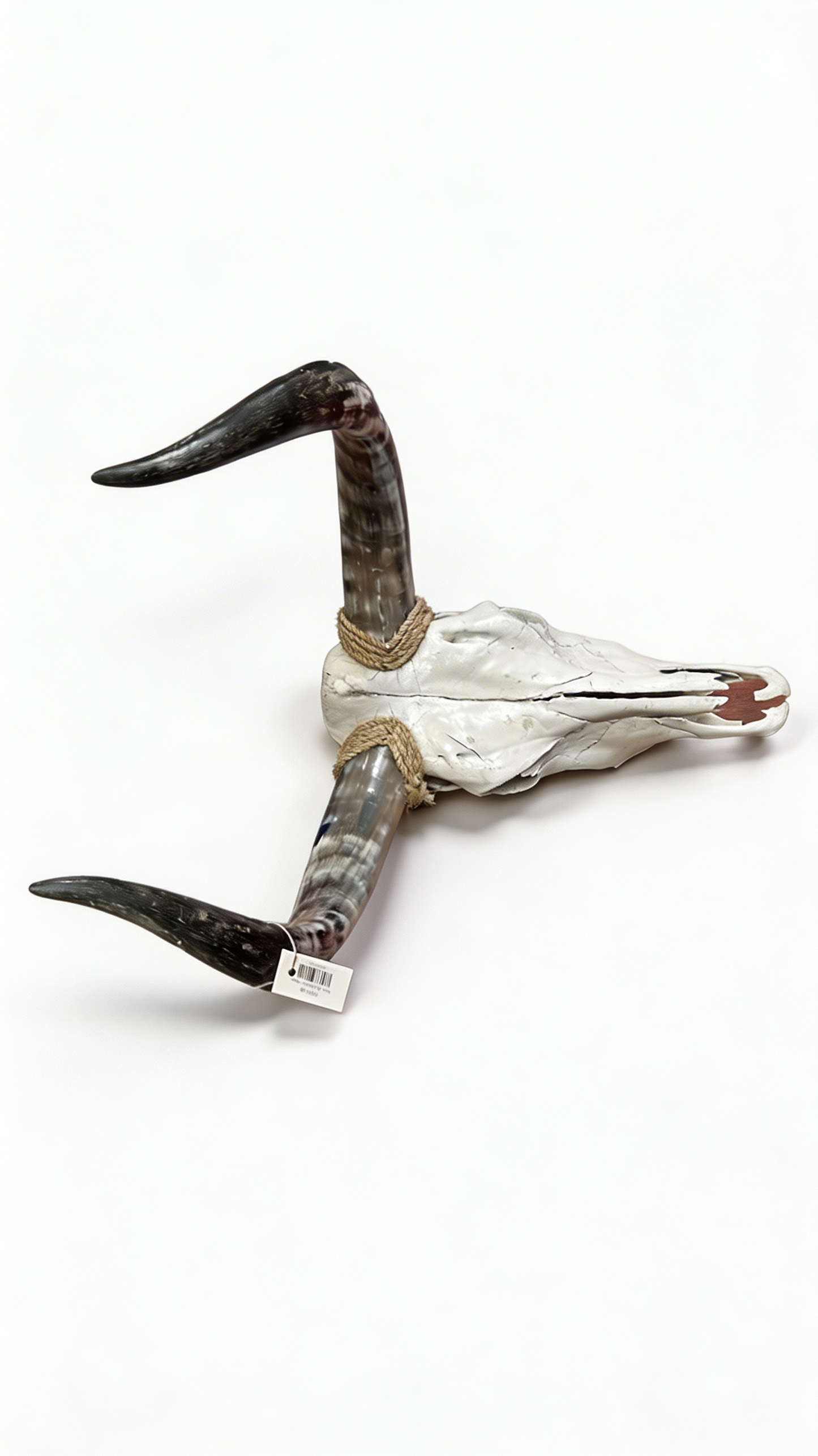 Skull Bull Head