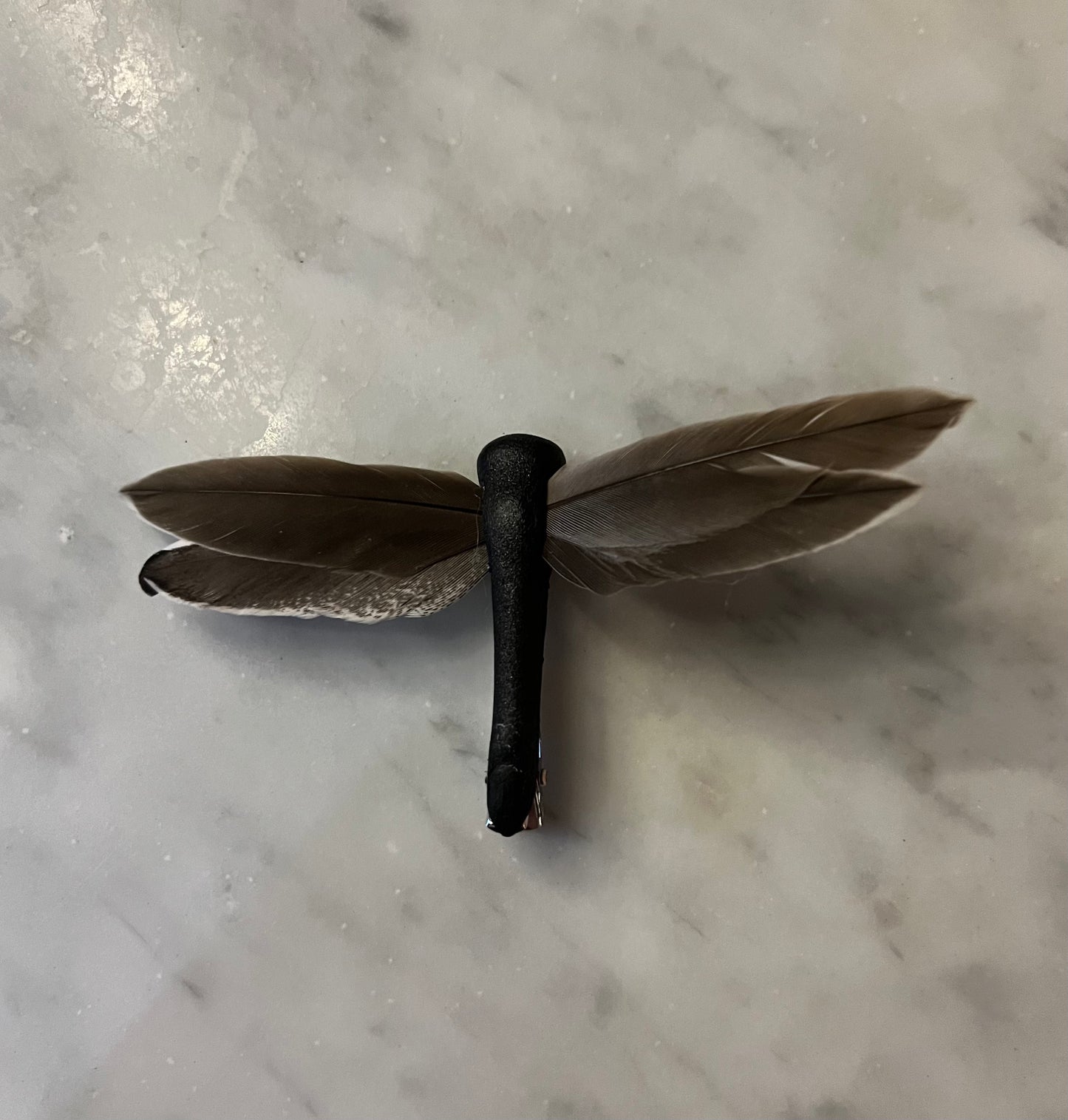 Dragonflies
